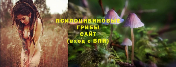 сатива Бородино