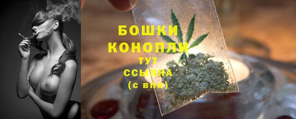 сатива Бородино