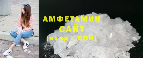 сатива Бородино