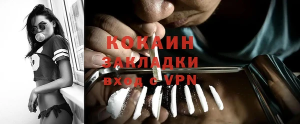 сатива Бородино