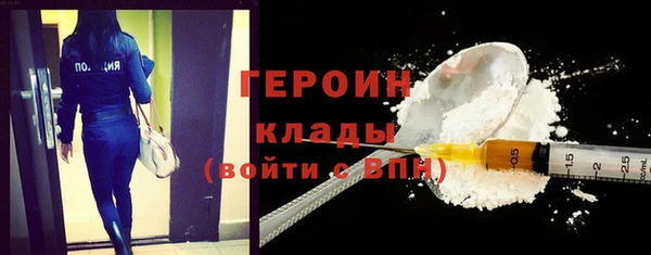 сатива Бородино