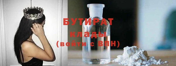 сатива Бородино