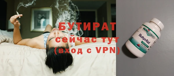 сатива Бородино