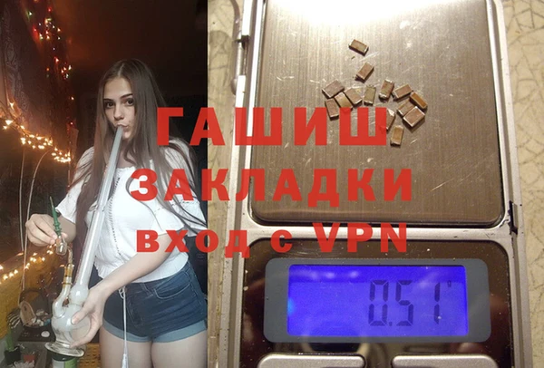 сатива Бородино