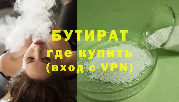 сатива Бородино