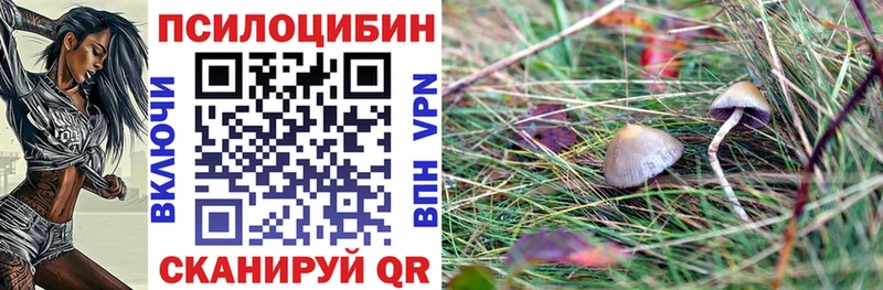 закладки  Северобайкальск  Псилоцибиновые грибы MAGIC MUSHROOMS 